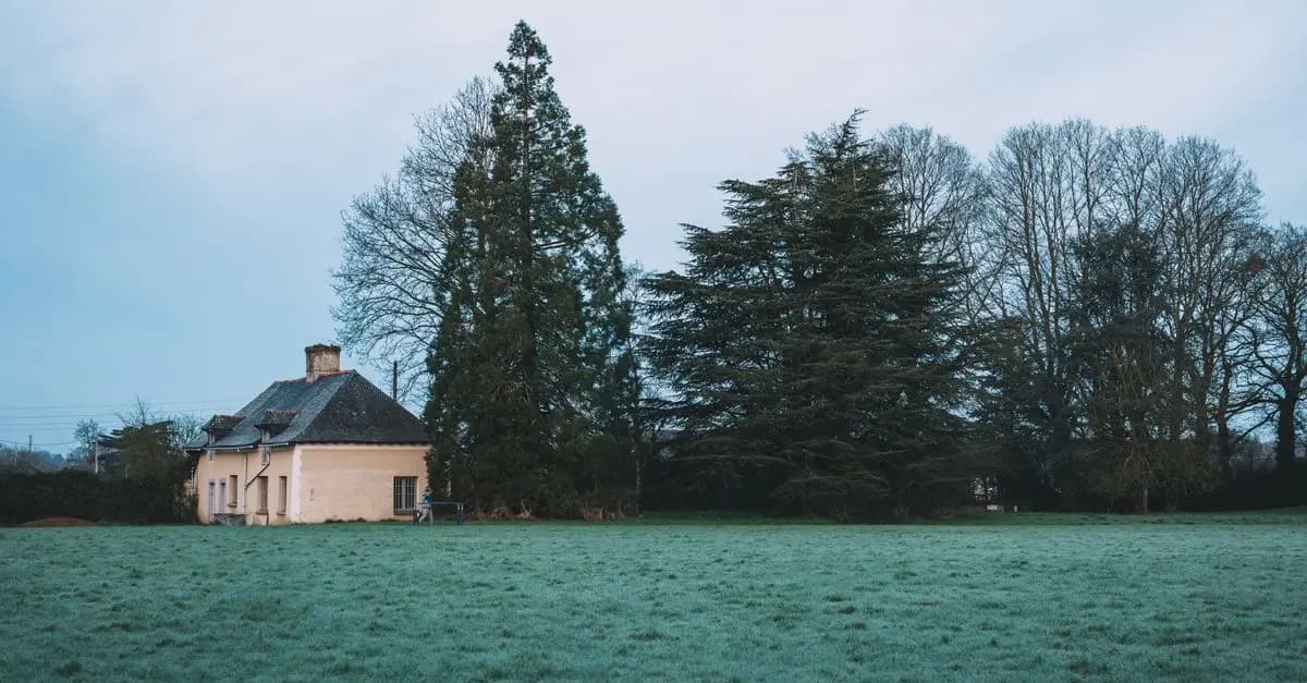 5 Astuces Pratiques pour Économiser de l'Énergie à la Maison
