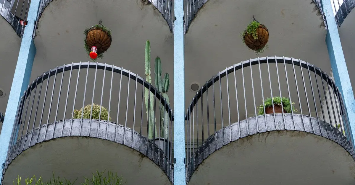 DIY : Créer un Jardin Vertical à Petit Prix