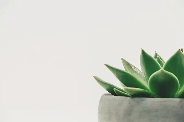 10 Astuces Pratiques pour Améliorer Votre Concentration