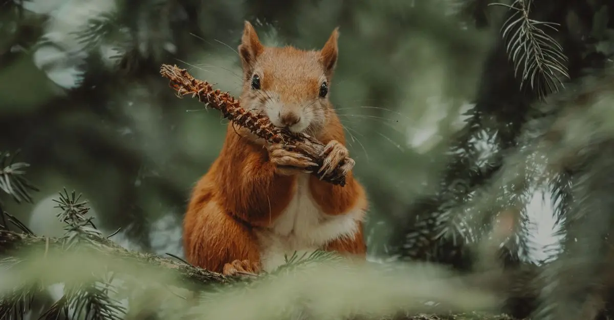 Comment Réduire le Stress de vos Animaux Pendant un Voyage