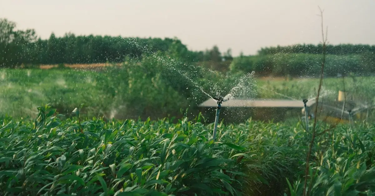 10 Astuces pour Économiser de l'Eau au Quotidien